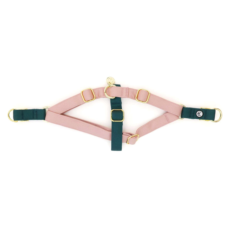 Eat Play Wag Duo-Clip Harnesses