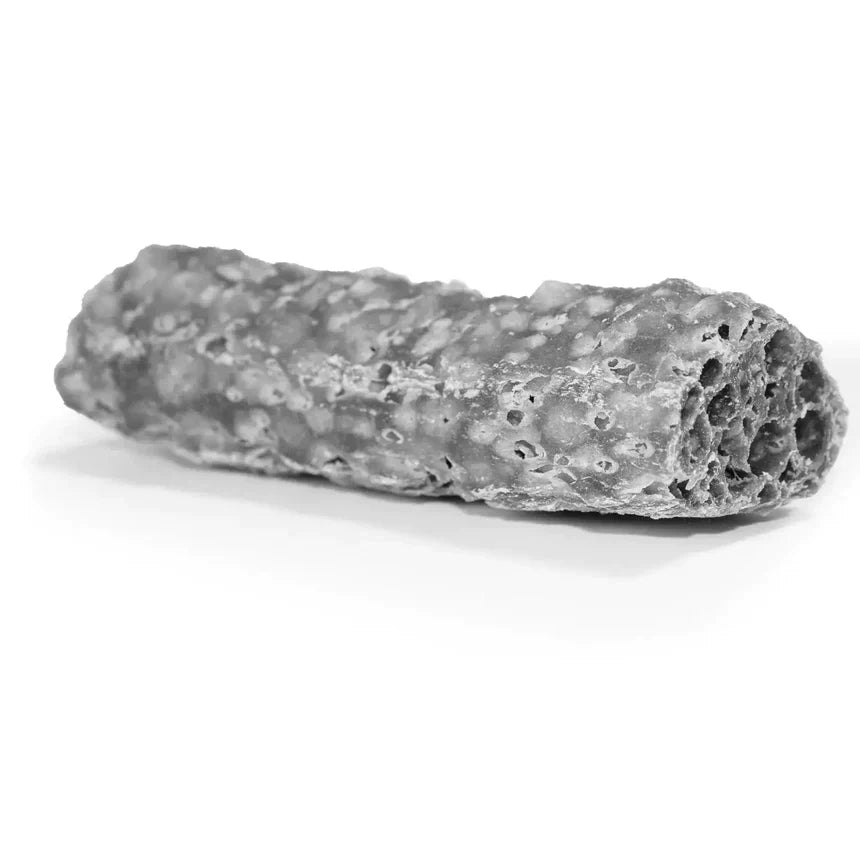 Himalayan Pet Cheese-Happy Teeth Char Dental Chew