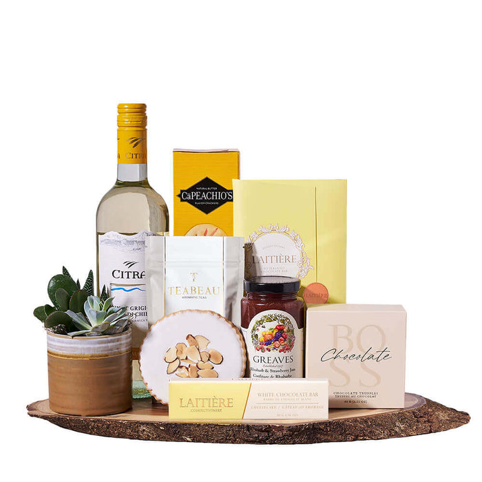 Abruzzo Citra Pinot Grigio & Plant Board, wine gift, wine, gourmet gift, gourmet, plant gift, plant, succulent plant gift, succulent plant