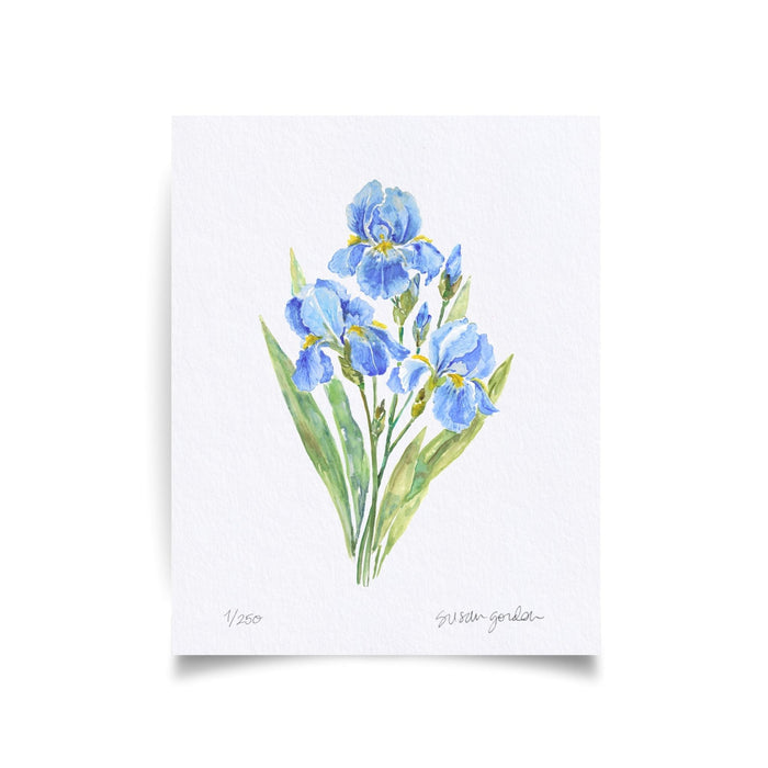 Unframed Print