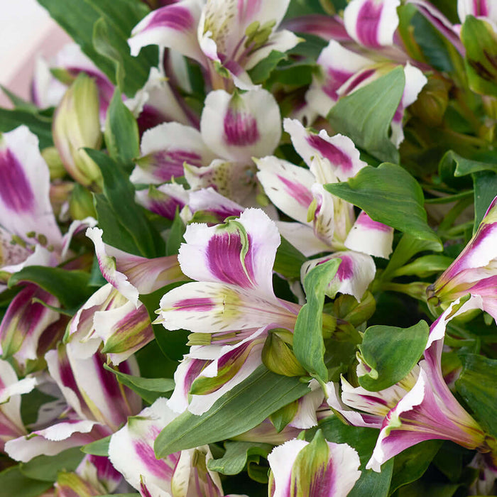 White and lavender lily bouquet. USA Delivery.