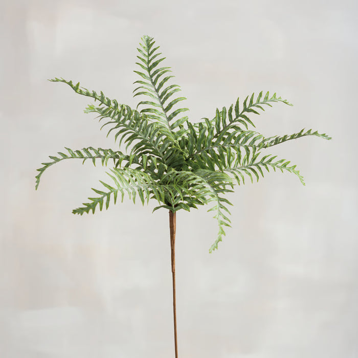 Marsh Fern Floral Pick