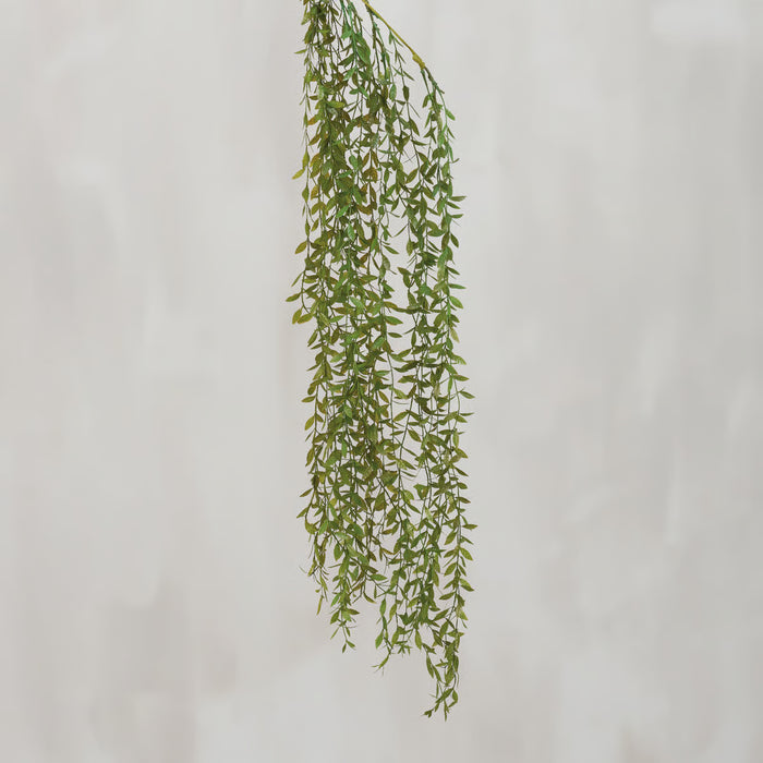 Ruscus Vine Floral Pick