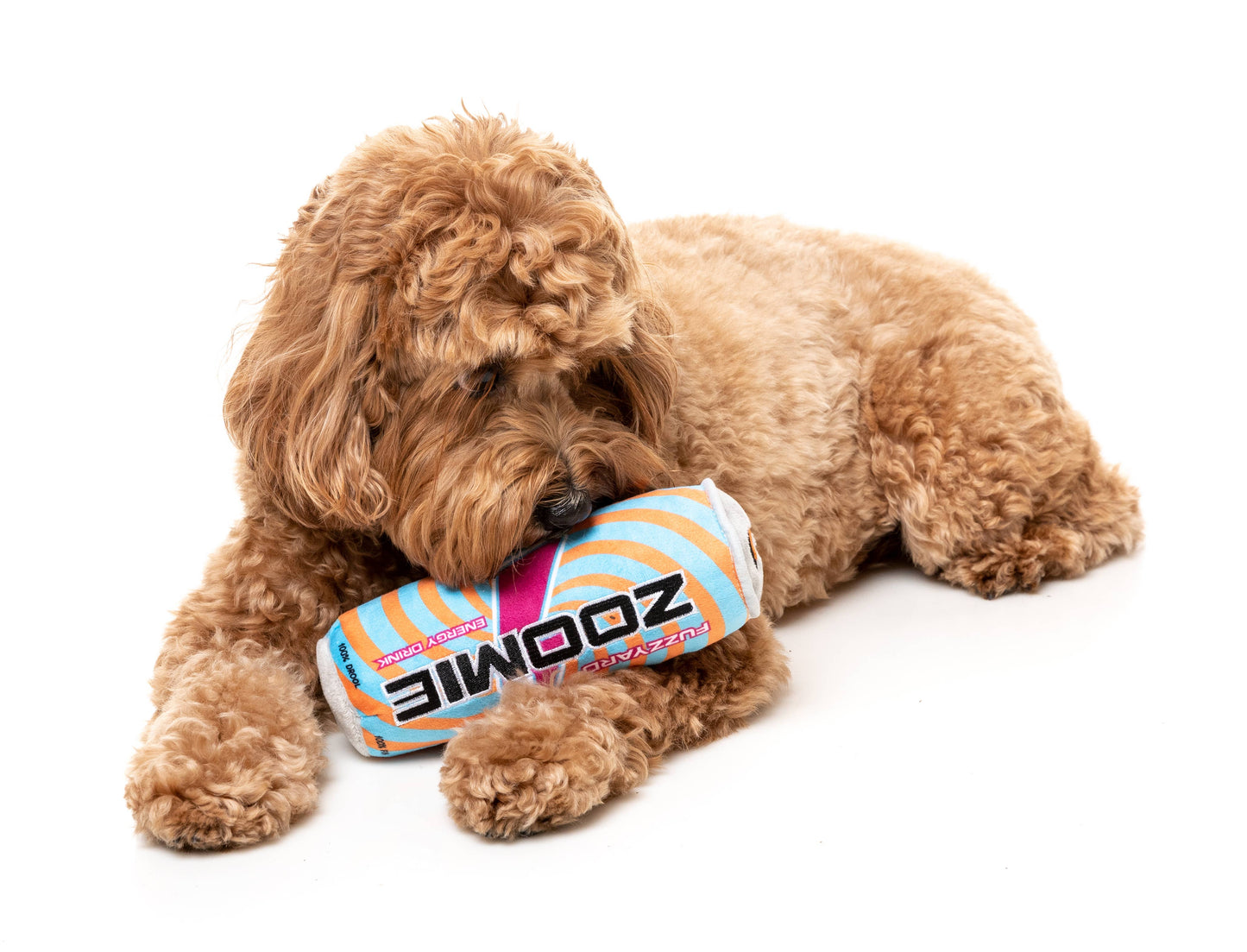 FuzzYard Zoomie Energy Drink Plush Dog Toy