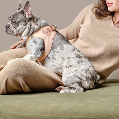 Doodle Couture, New York - WINNER - Harness Innovation of the Year Award - Dune