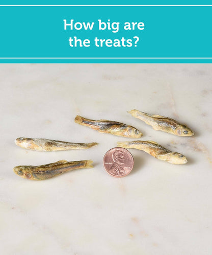 Fig & Tyler - Freeze-Dried Minnows