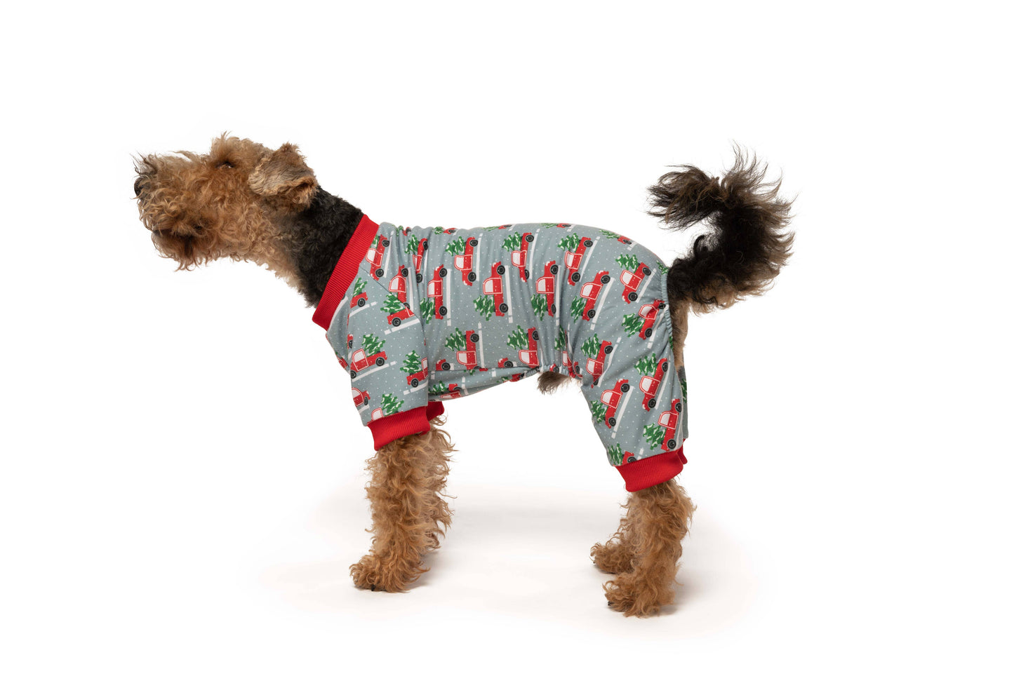 fabdog - X-Mas Truck Christmas Matching Dog Onesie