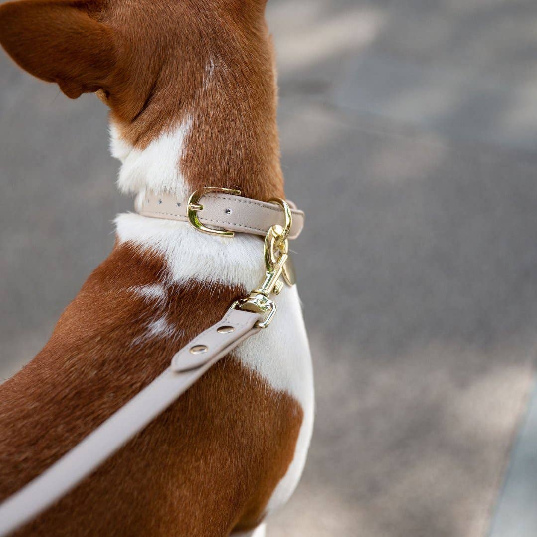 Nina Woof - Collar - Air Tag Enabled - Vegan Leather - Cupertino