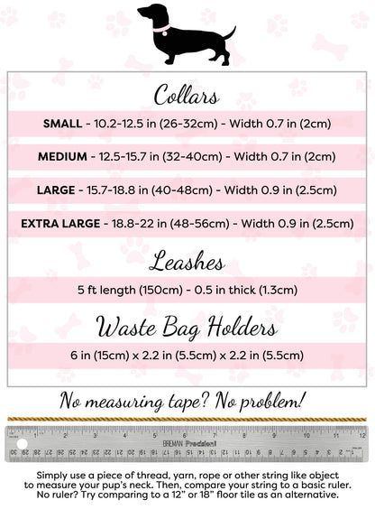 PoisePup - LEASH - CANDY SWIRL