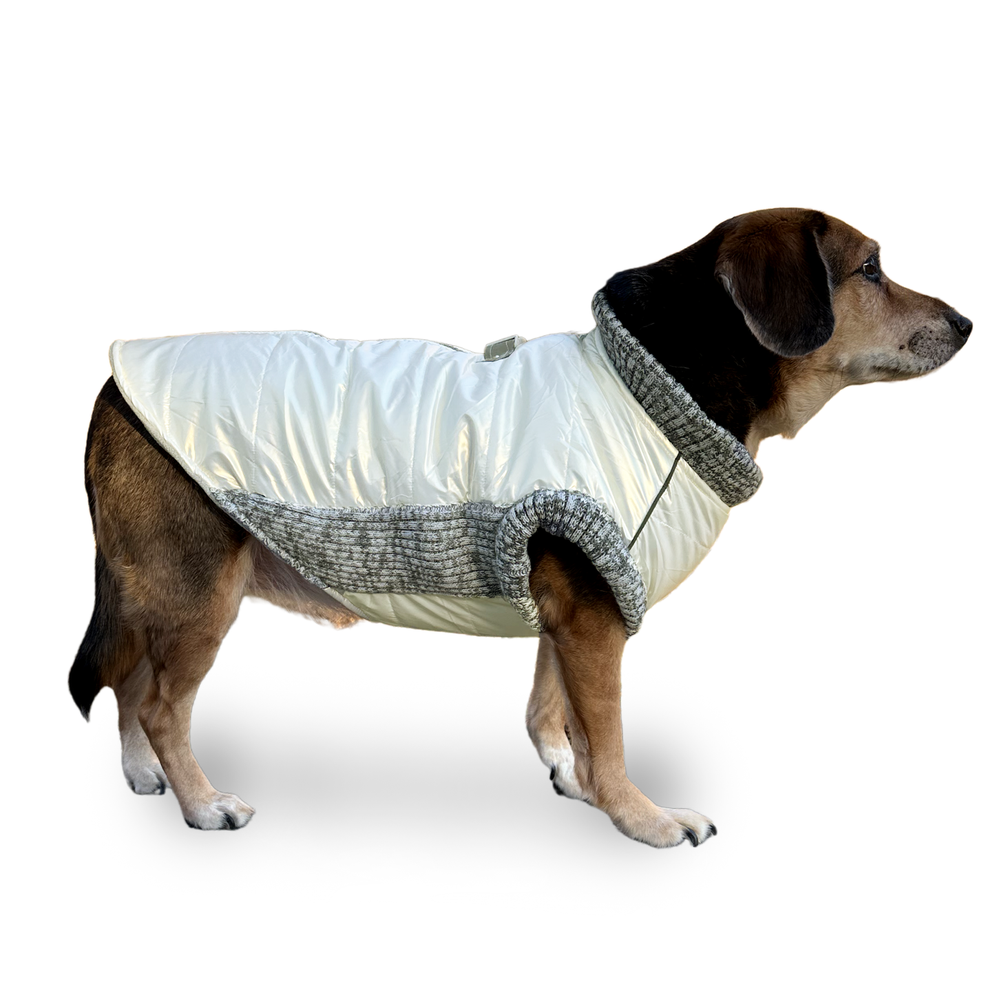 Dogo Pet - Runner Coat Metallic Pearl White