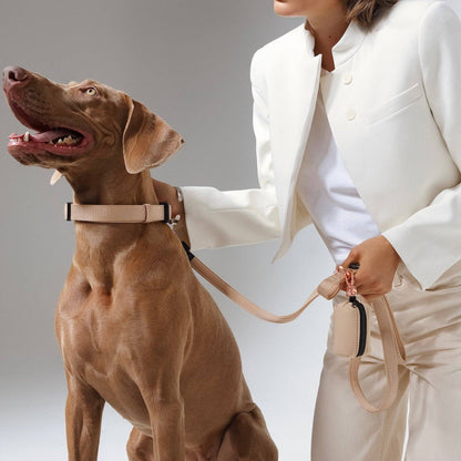 Doodle Couture, New York - Secure-In-Place Dog Leash - Dune