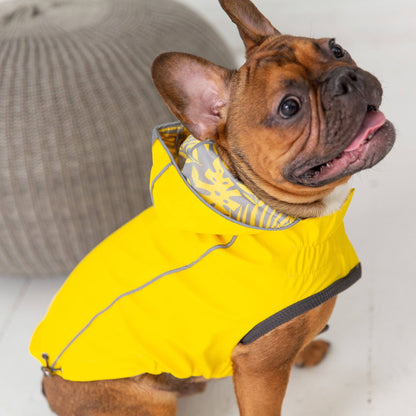 GF Pet - GF Pet Reversible Elasto-Fit Raincoat - Yellow