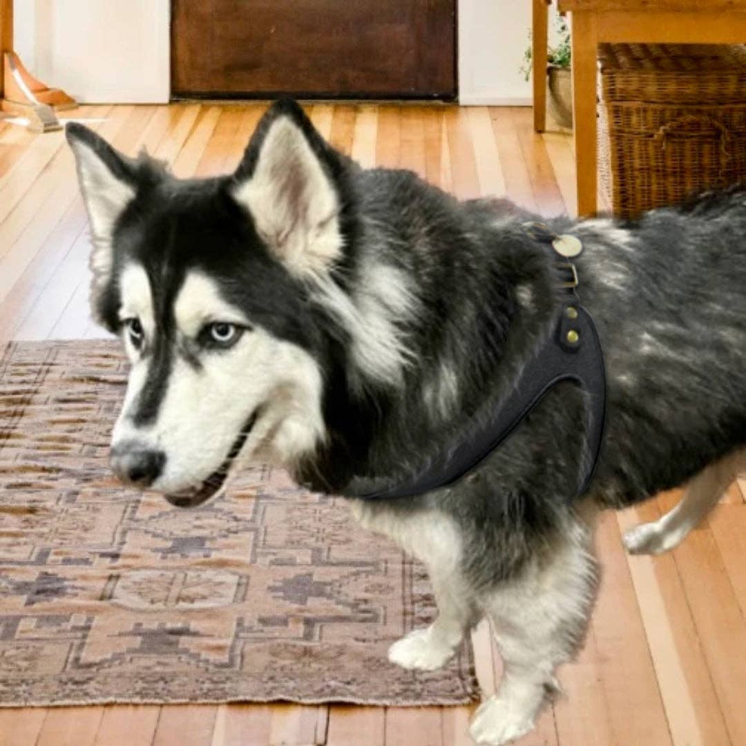 PoisePup - STEP-IN HARNESS - DARK NIGHT