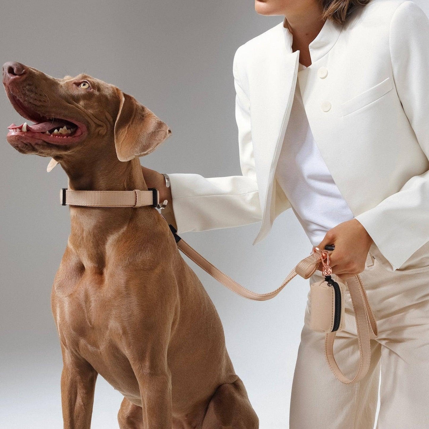 Dogistry™ - City Dog Leash - Dune