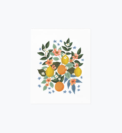 Citrus Grove Cluster Art Print