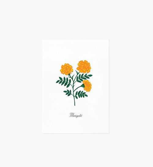 Birth Month Art Print - October
