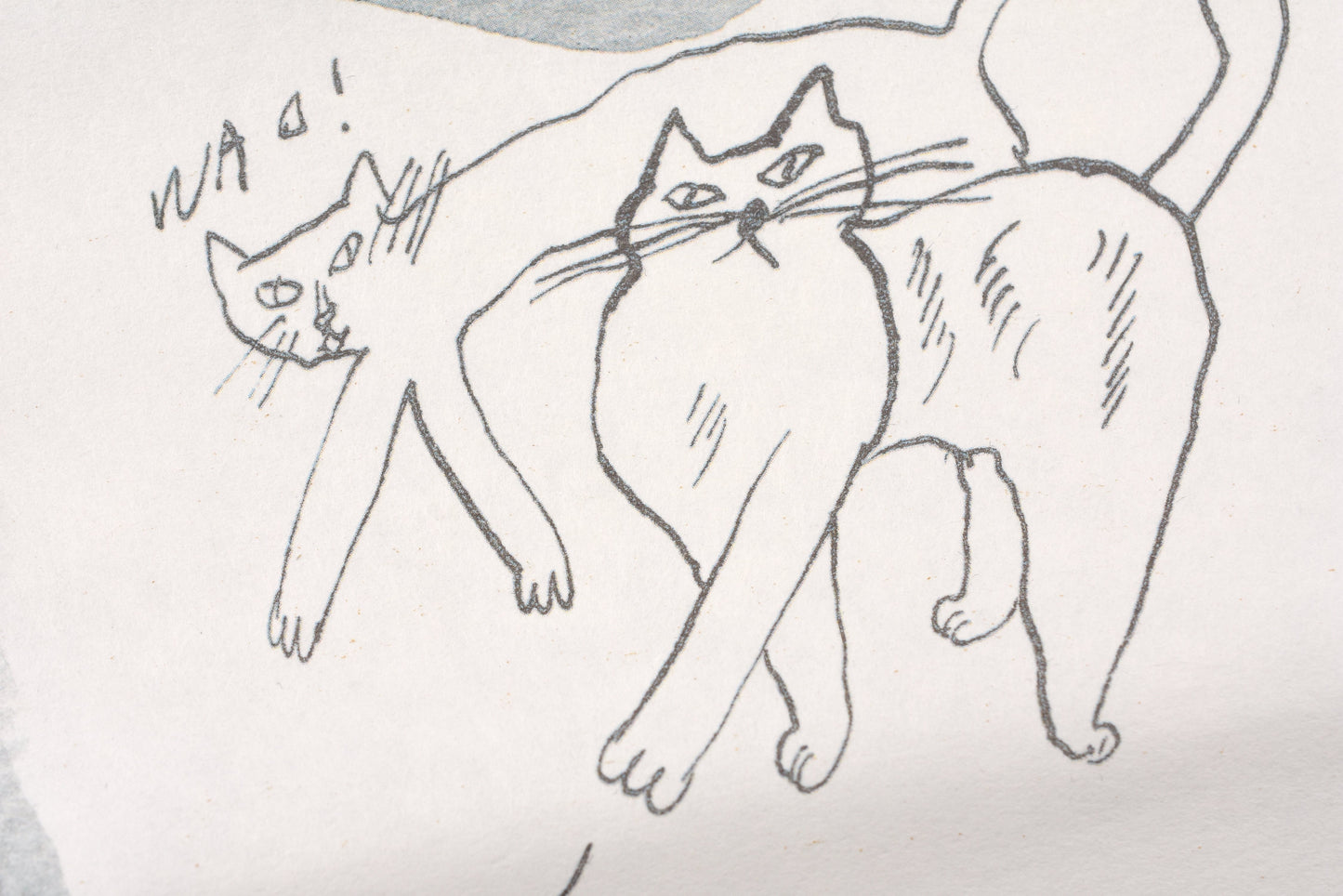 Classiky - Toranekobonbon Kaishi Papers - Cat
