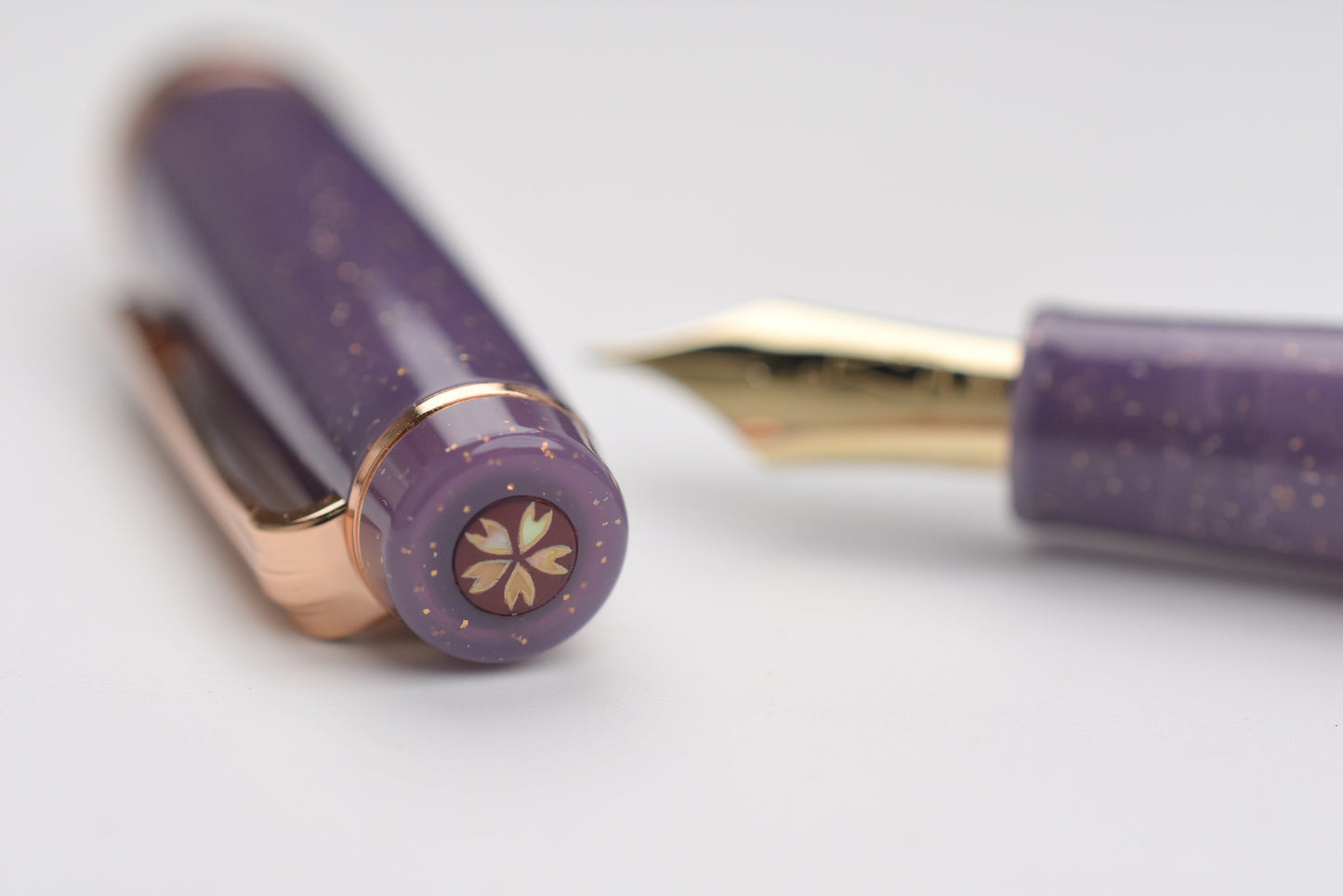 BUNGUBOX Original Large Fountain Pen - Piston - Tipsy Mood