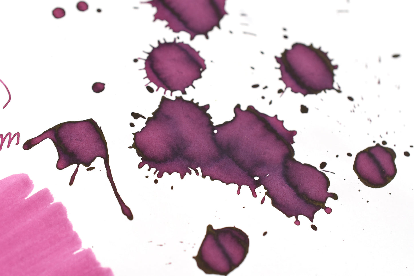 Diamine Black Edition - Scented - Forest Gateau