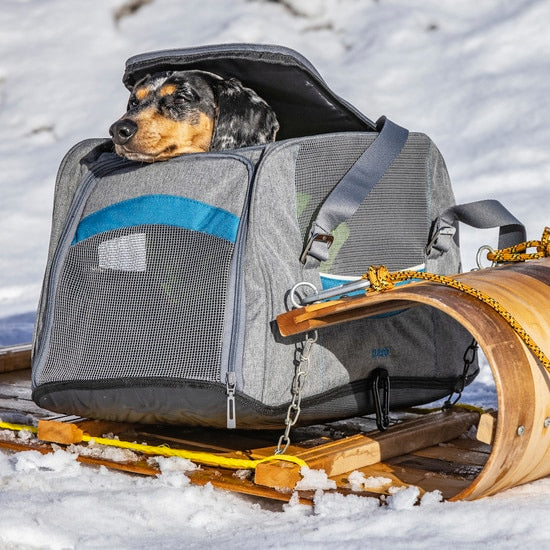 Kurgo Metro Dog Carrier