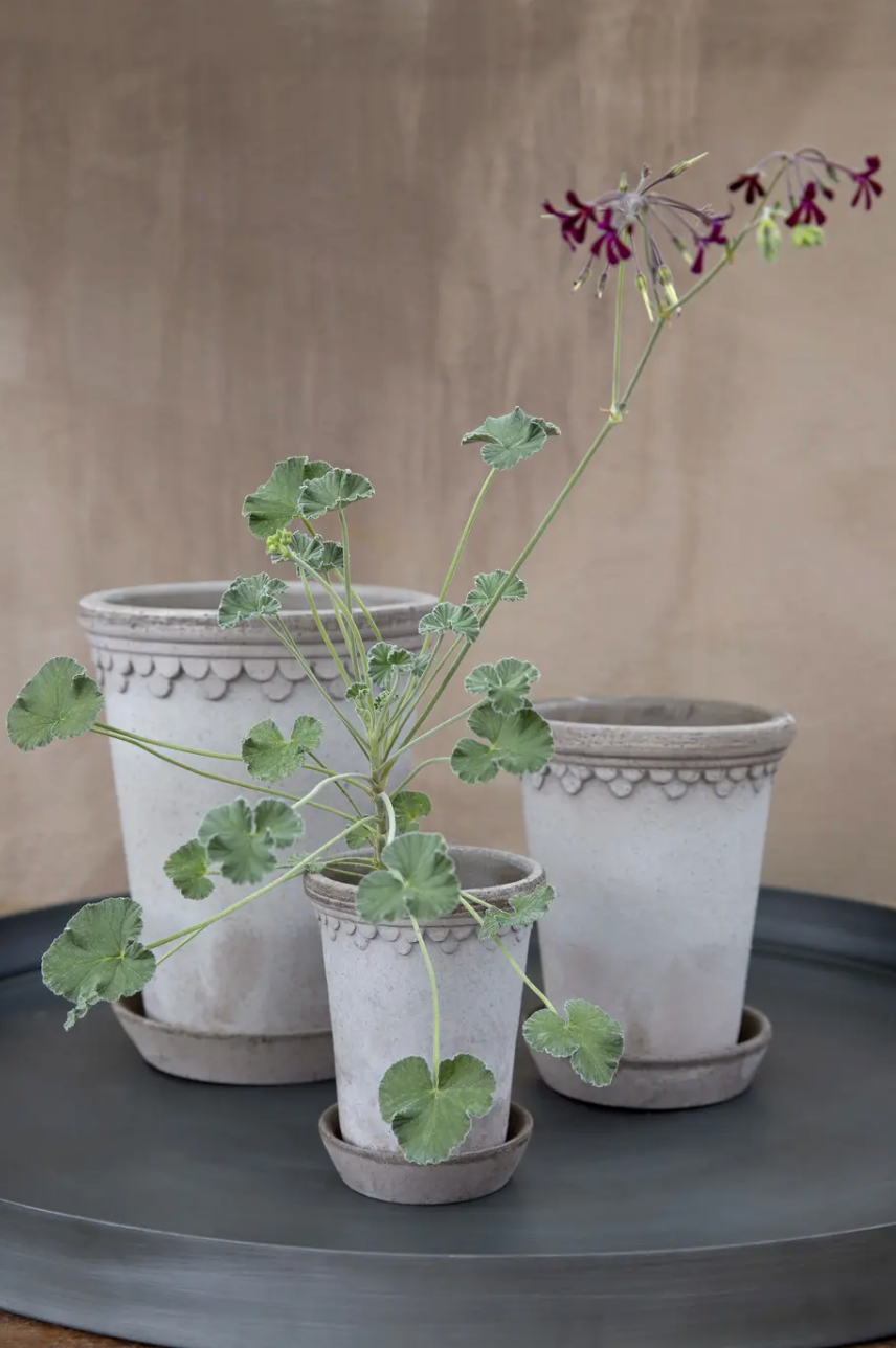 18 cm, Grey, Pot and Saucer (Tall)