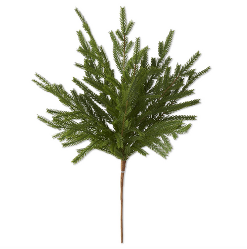 19 Inch Real Touch Norfolk Pine Stem