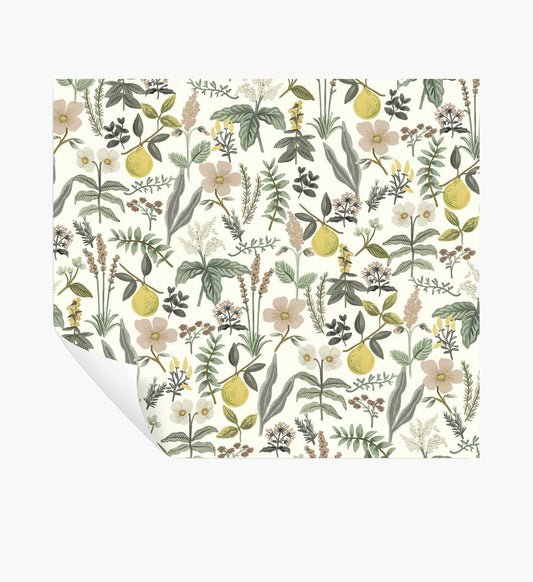Herb Garden Peel & Stick Wallpaper - Cream