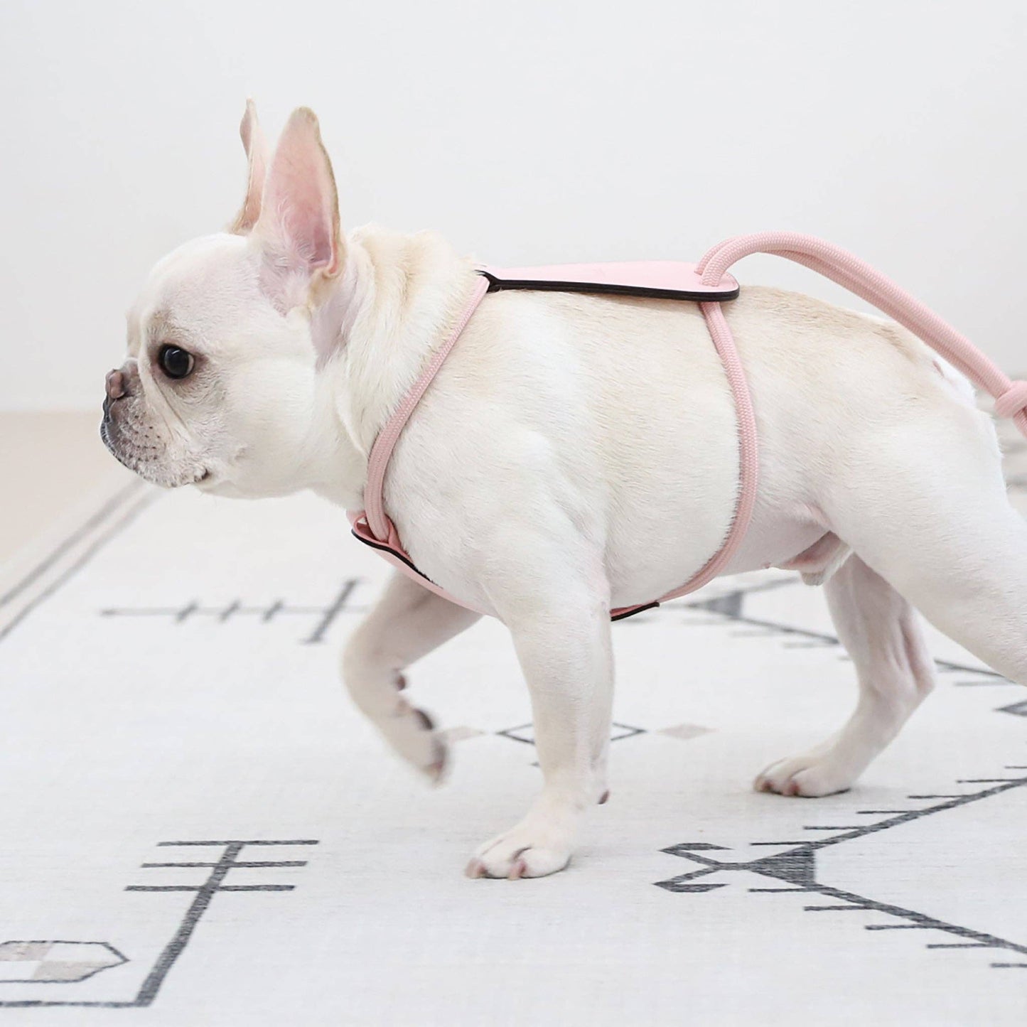 Hozi - Essential Harness - Pink
