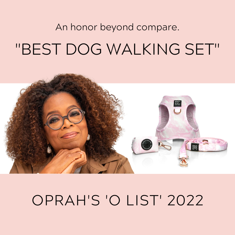 Doodle Couture, New York - WINNER - Harness Innovation of the Year Award - Blush