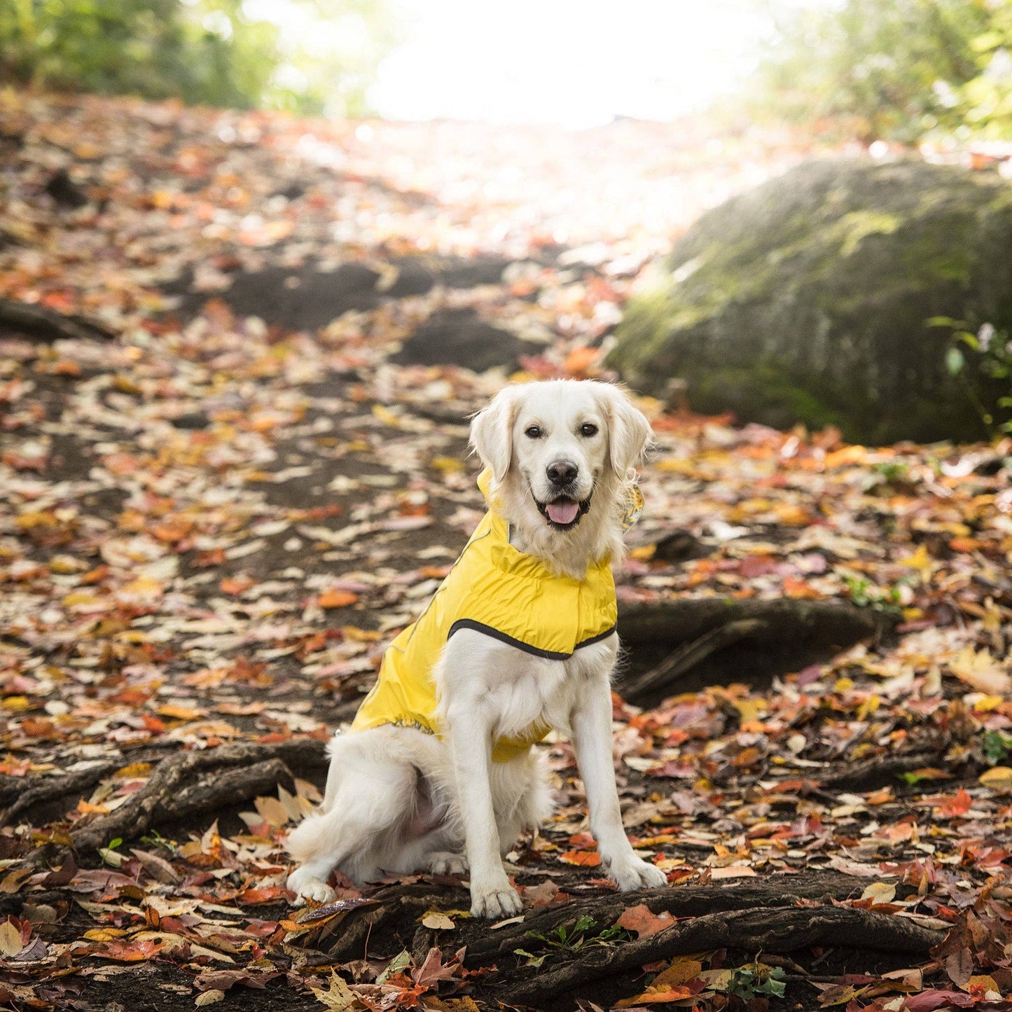 GF Pet - GF Pet Reversible Elasto-Fit Raincoat - Yellow