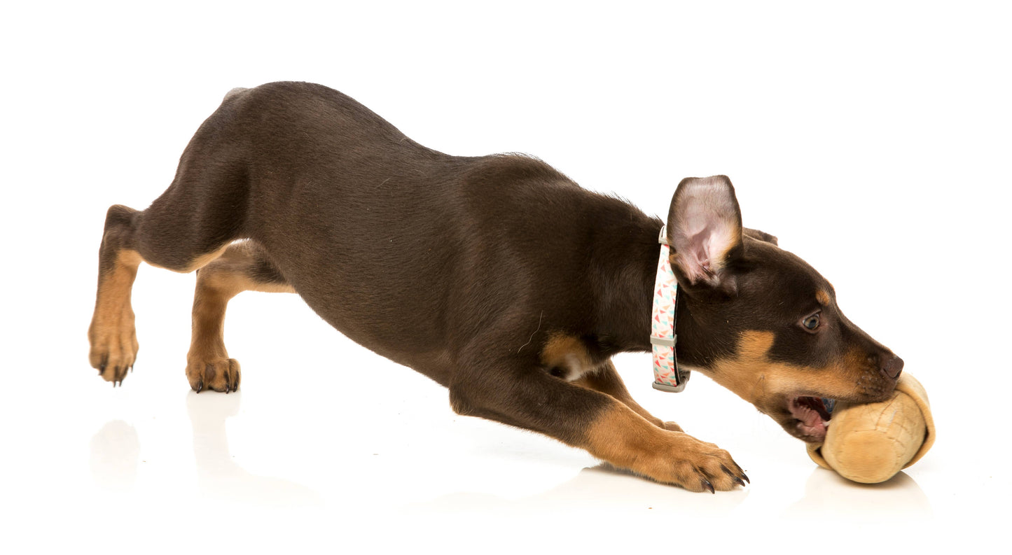 FuzzYard Dog Toy Ice Cream