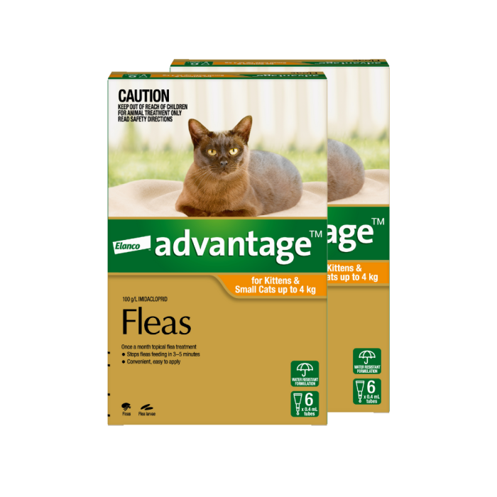 Advantage - For Kittens & Small Cats Up To 4Kg (Orange)