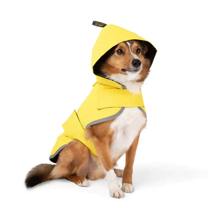 PET GEAR DISTRIBUTORS - NANDOG Dog Rain Coat Sport Collection
