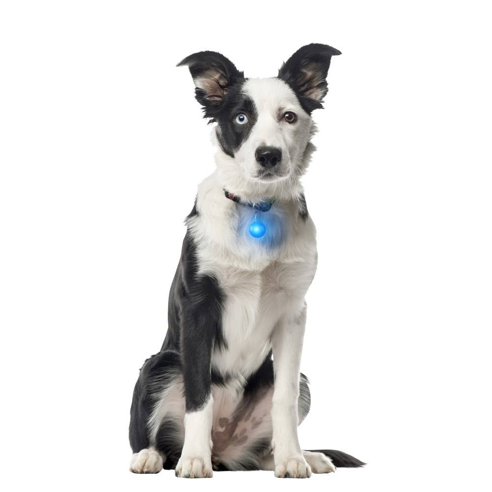 Nite Ize SpotLit Collar Light - Blue