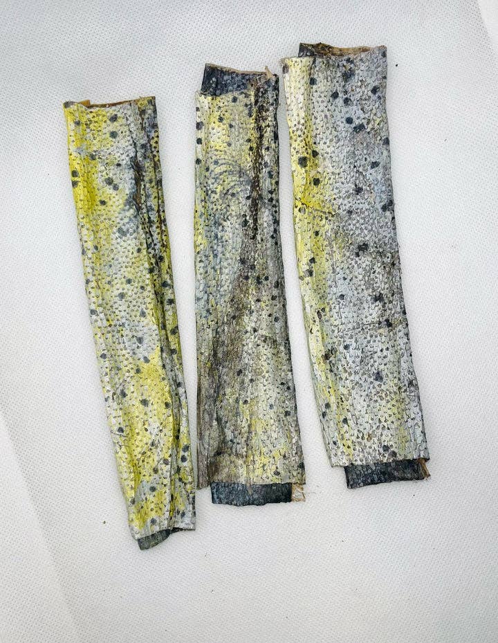 Florida Man Pet Treats - Dehydrated Mahi Mahi Dog Chew