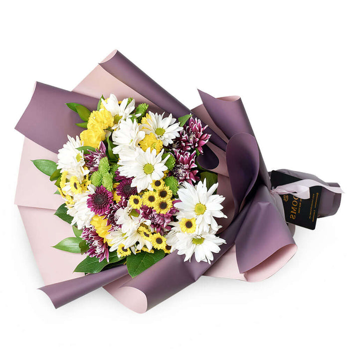 Be A Wildflower Daisy Bouquet. Mixed coloured selection of daisies in a floral wrap with a designer ribbon. Flower Gifts from Monthly Sommelier USA - Same Day USA Delivery.