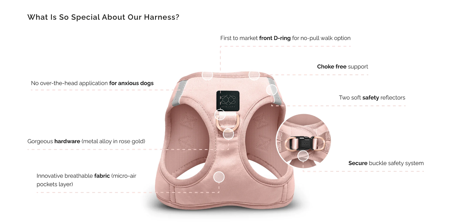 Doodle Couture, New York - WINNER - Harness Innovation of the Year Award - Blush
