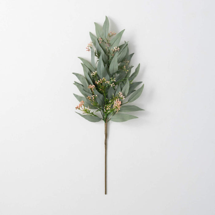 Blade Eucalyptus