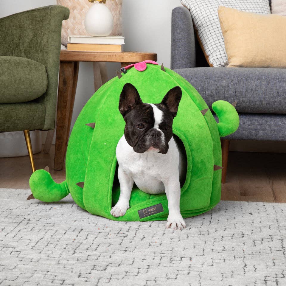 Nandog Pet Gear - CACTUS DOG BED / CAT HUT - LARGE PRIVEn
