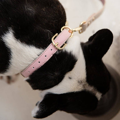 Nina Woof - Collar - Air Tag Enabled - Vegan Leather - Cupertino