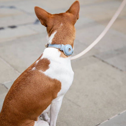 Nina Woof - Collar - Air Tag Enabled - Vegan Leather - Cupertino