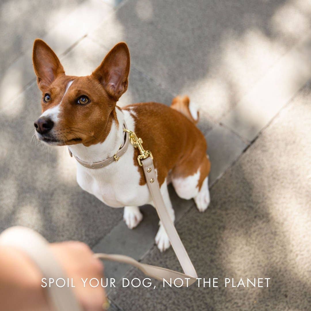 Nina Woof - Collar - Air Tag Enabled - Vegan Leather - Cupertino