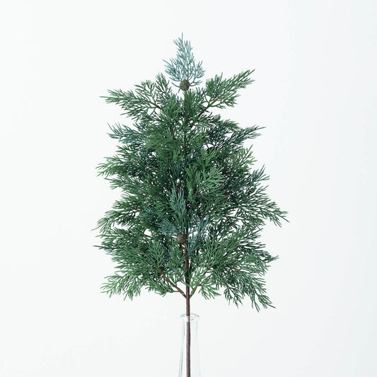 Cedar Spray