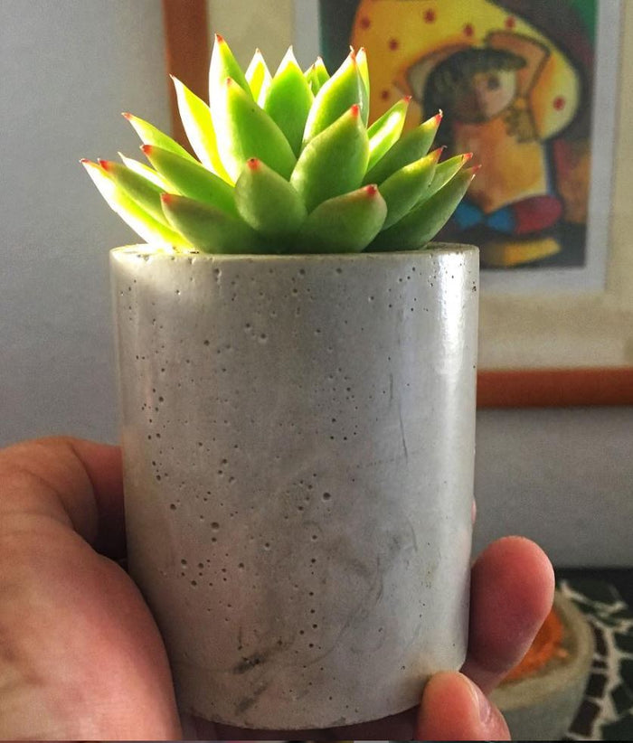 Cylinder 3 Concrete planter