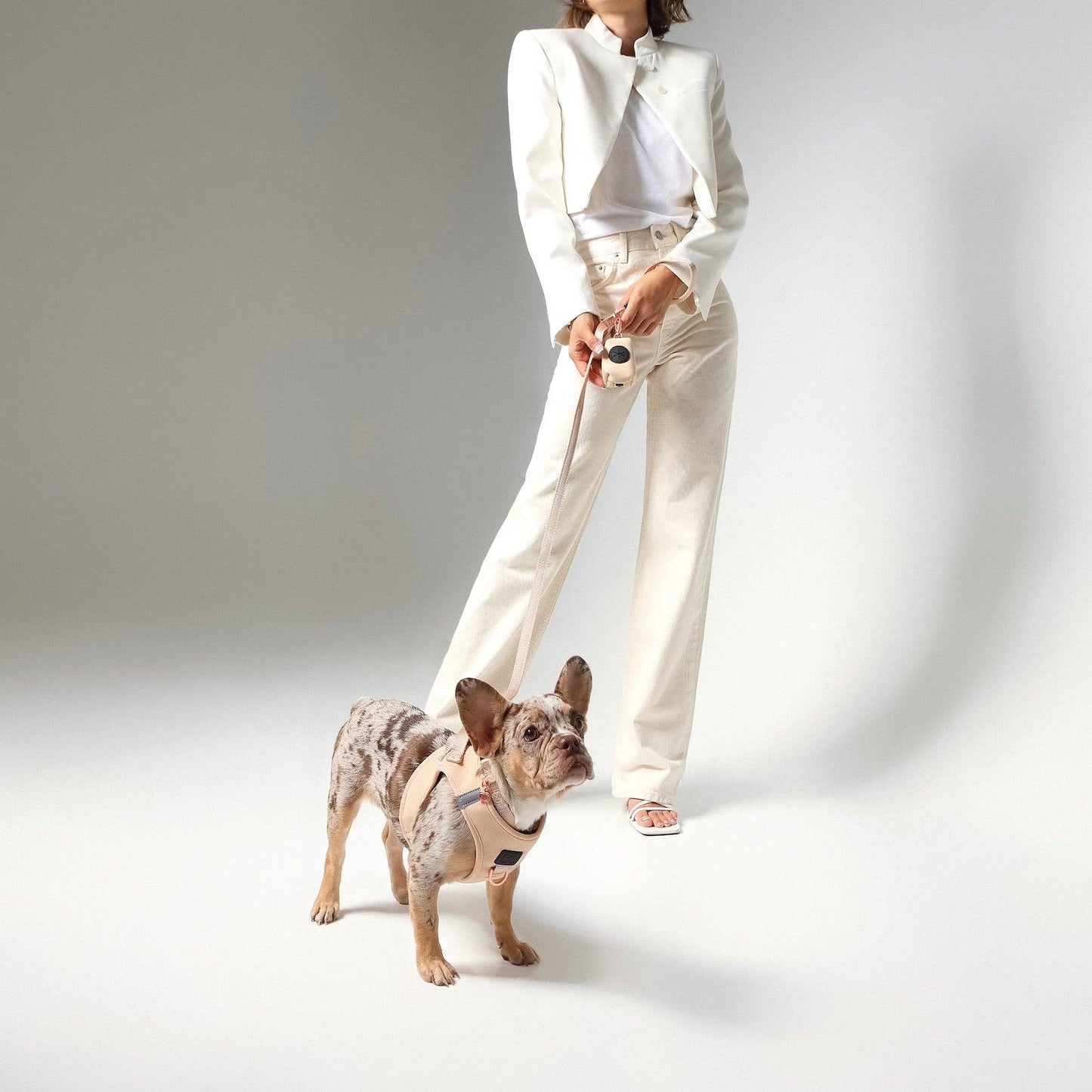 Doodle Couture, New York - Secure-In-Place Dog Leash - Dune