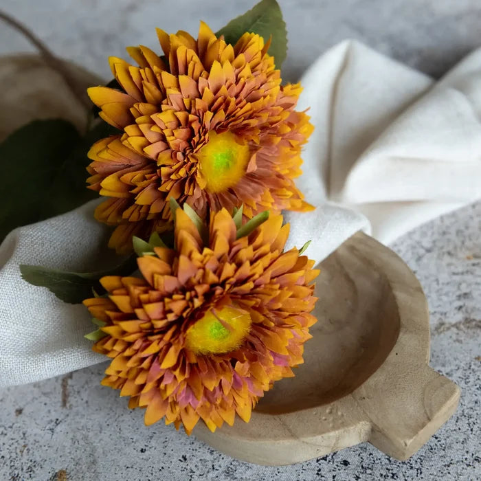 Dark Yellow Mum
