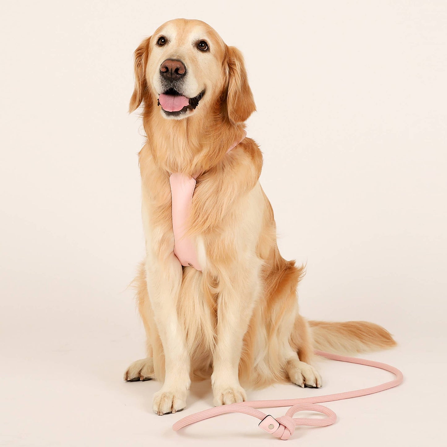 Hozi - All-in-one Harness : Pink