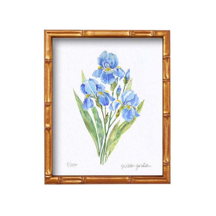 Dwarf Bearded Iris Archival Art Print — Dwarf Bearded Iris print in the Bamboo-style frame; Susan Gordon