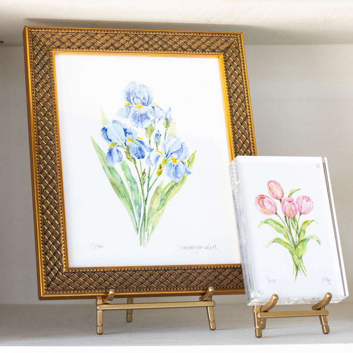 Dwarf Bearded Iris Archival Art Print — Trellis-framed Iris print beside a separately sold smaller Tulip print; Susan Gordon