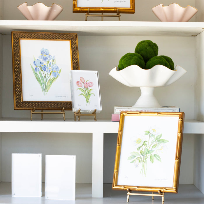 Dwarf Bearded Iris Archival Art Print — Iris print in a shelf arrangement with separately sold pottery and art; Susan Gordon